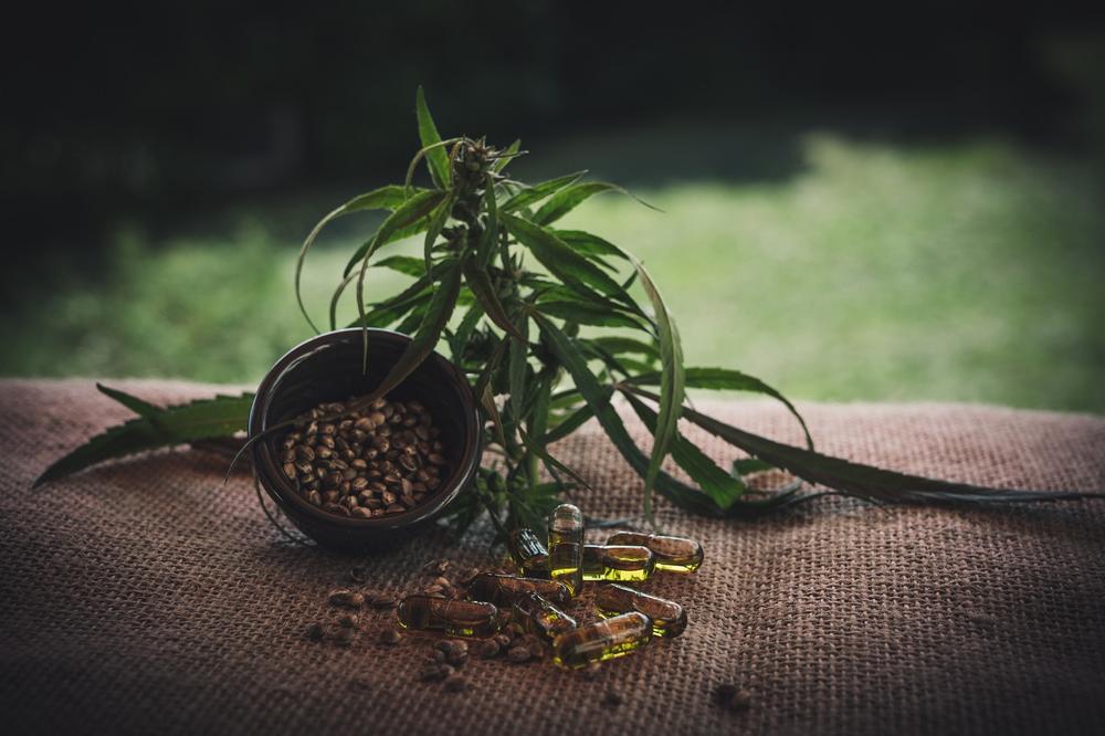 hemp seeds